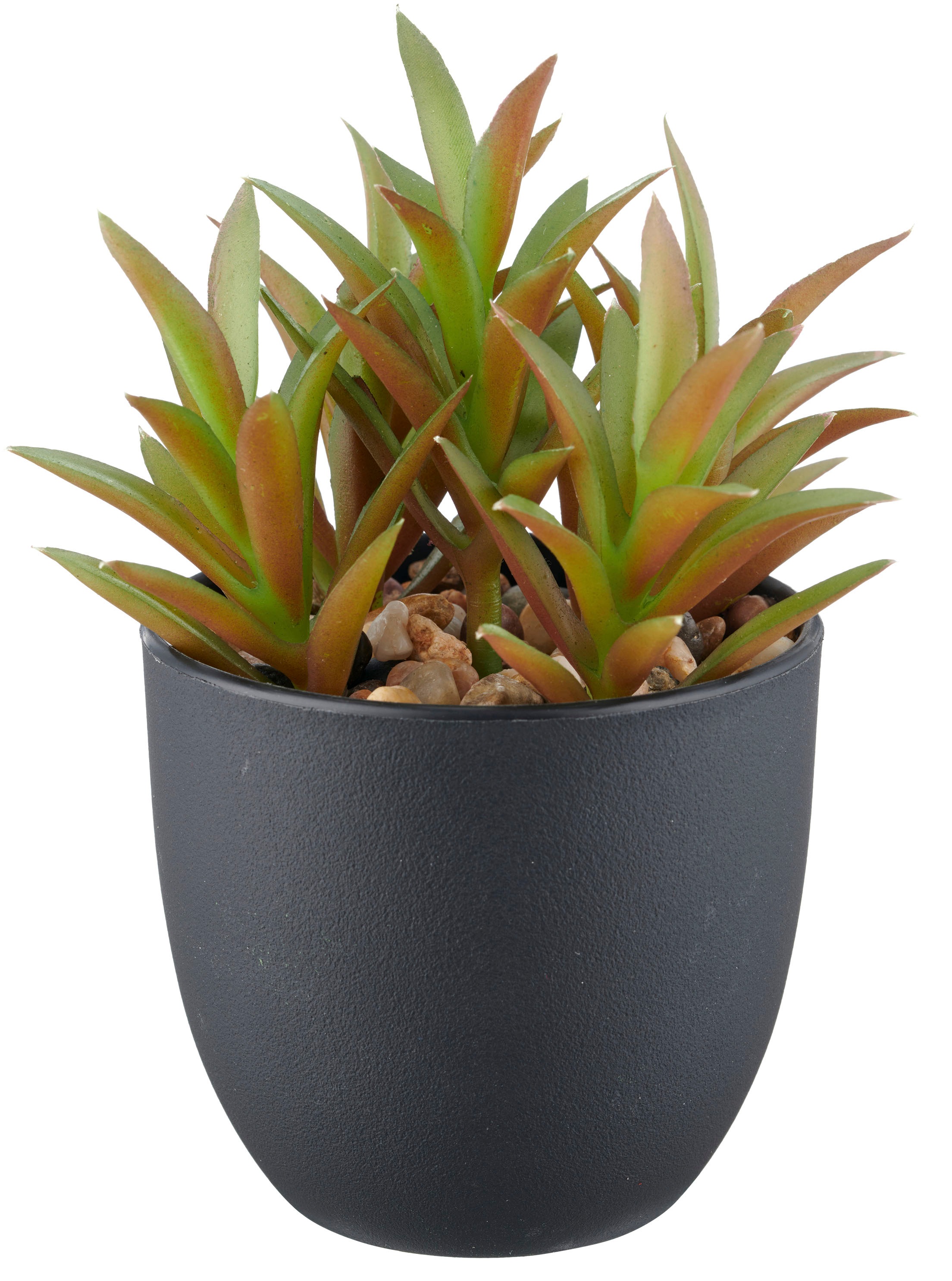 Creativ green Kunstpflanze »Sukkulenten« mit dekorativem Kies