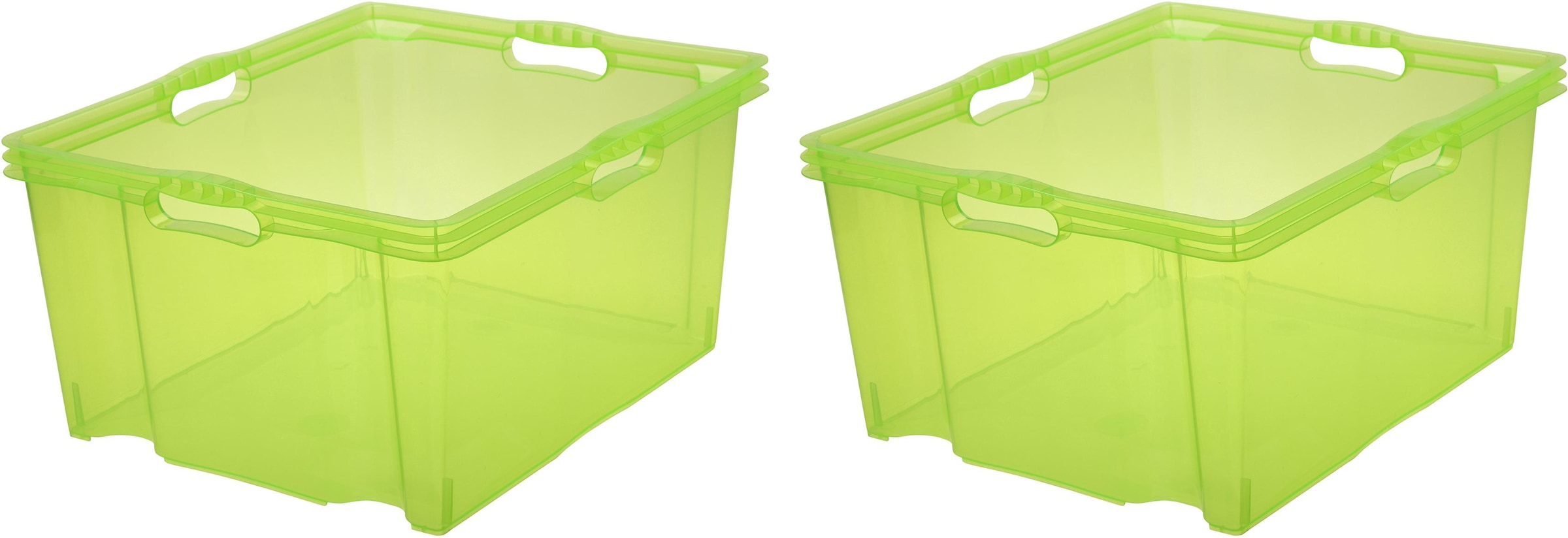 keeeper Organizer "franz" Aufbewahrungsboxen xxl, hochwertiger Kunststoff, 44 L