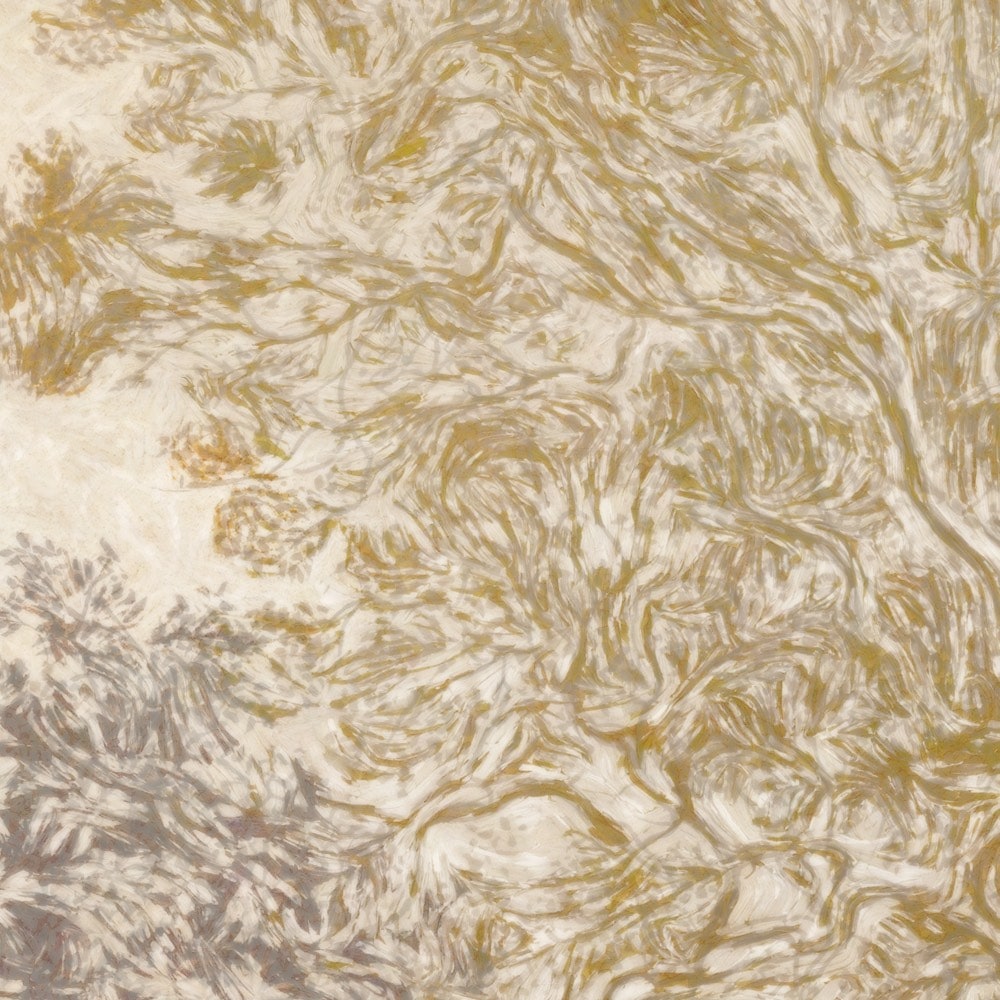 Komar Fototapete »Vlies Fototapete - Herbstwald - Größe 350 x 250 cm« Motiv | bedruckt glatt