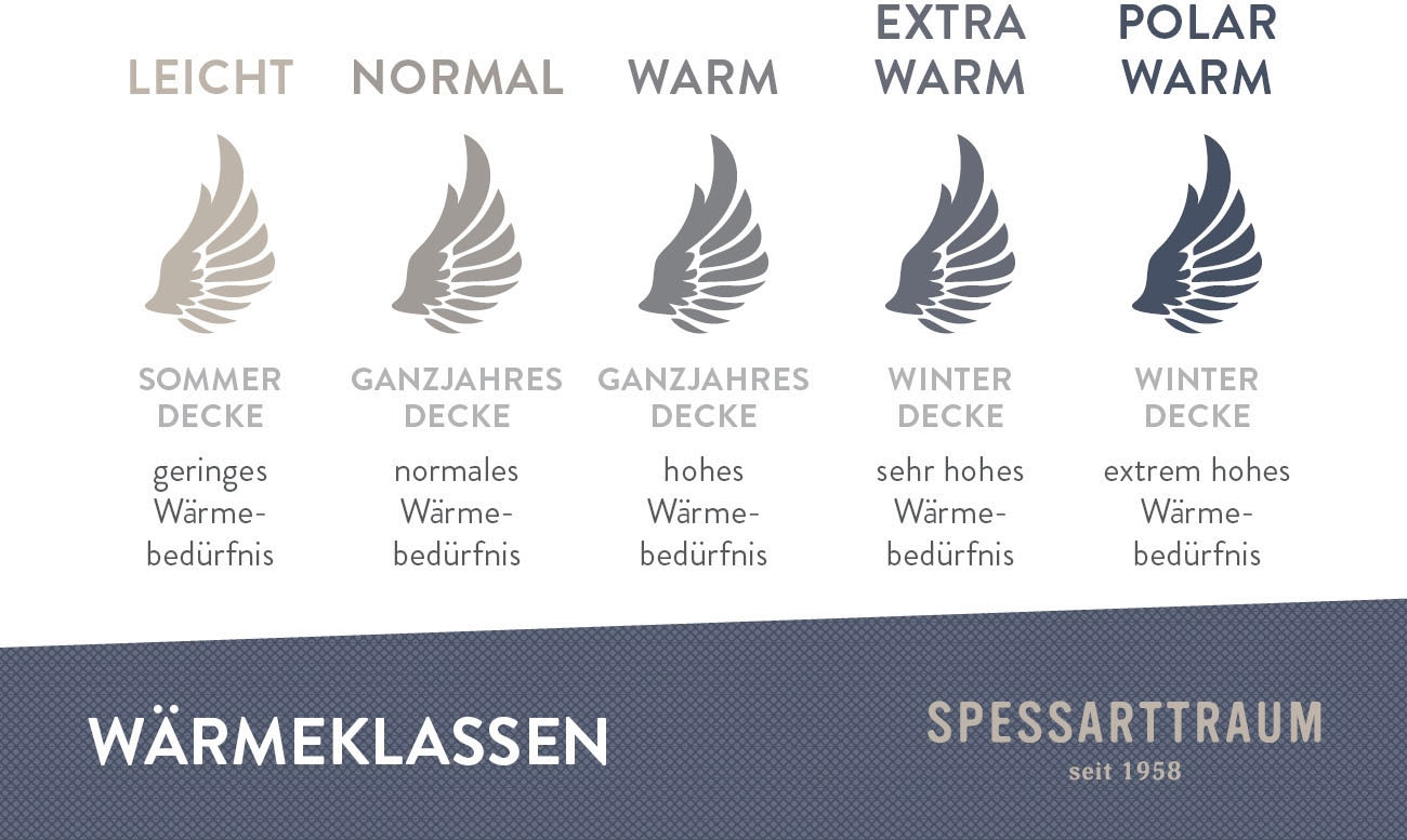 SPESSARTTRAUM Gänsedaunenbettdecke »Premium****, hergestellt in Deutschland«, Füllung 100% Gänsedaunen, Klasse 1, Downpass zertifiziert, Bezug 100% Baumwolle, nachhaltig (Made in Green), Hausstauballergiker geeignet, (1 St.)