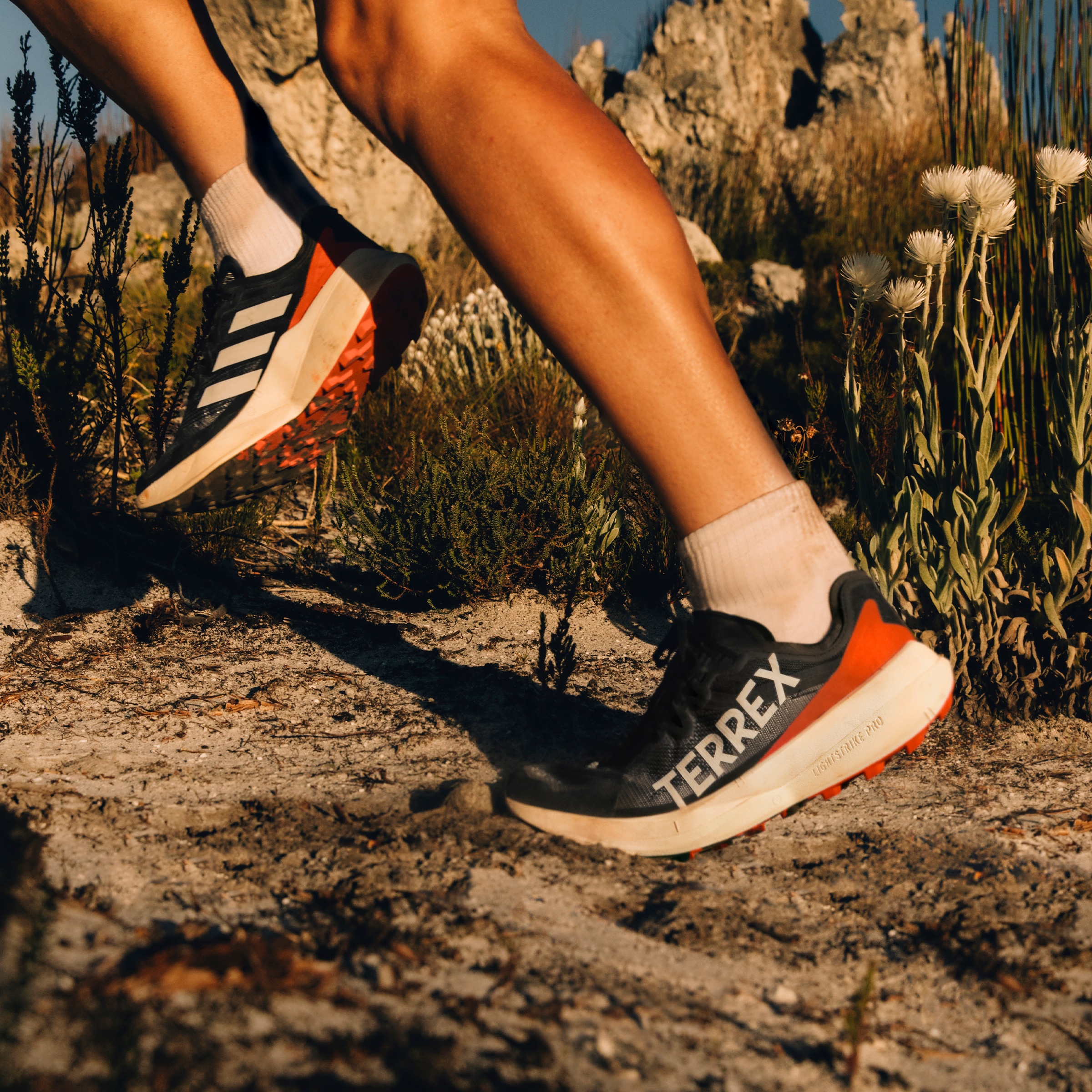 adidas TERREX Trailrunningschuh »TERREX AGRAVIC SPEED TRAILRUNNING«