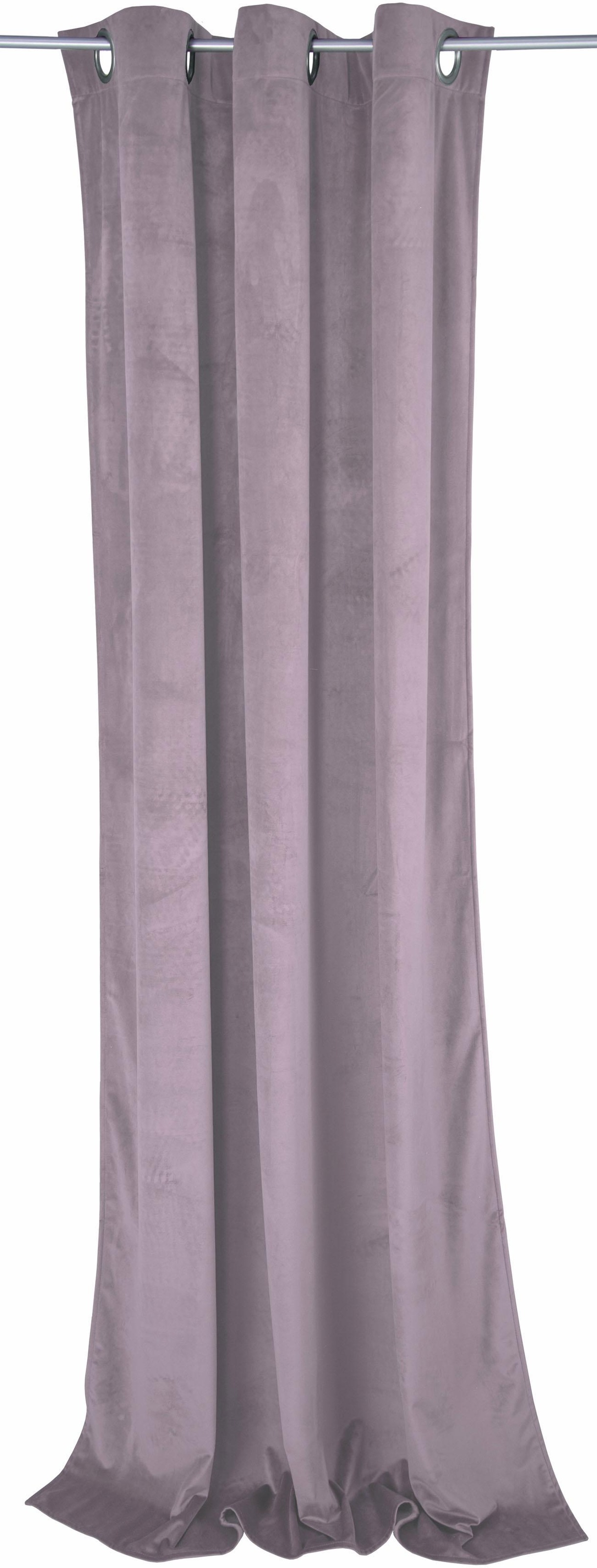 TOM TAILOR Vorhang »FRENCH VELVET«, (1 St.), HxB: 245x135 kaufen