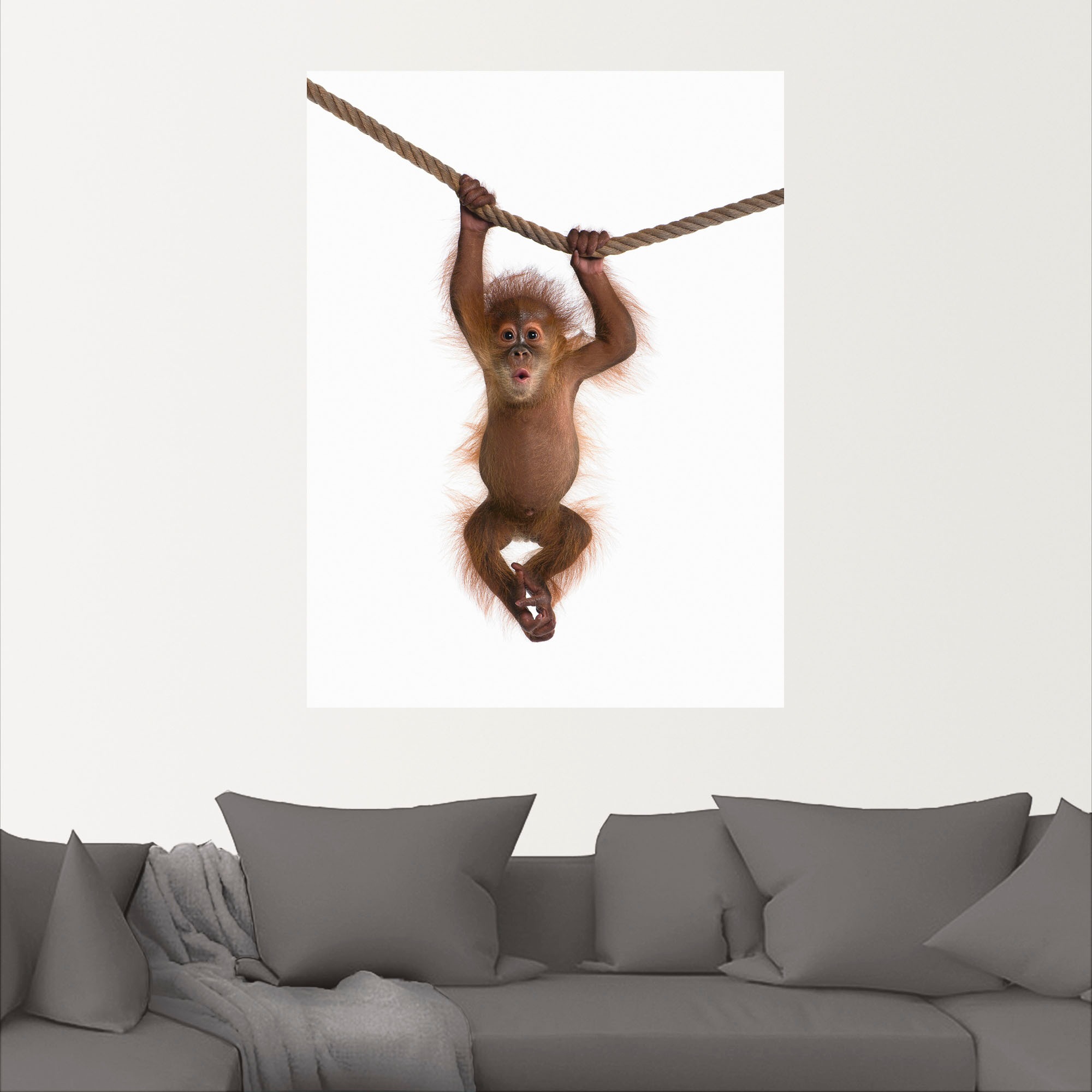 Artland Wandbild »Baby Orang Utan hängt an Seil II«, Wildtiere, (1 St.), als Alubild, Outdoorbild, Leinwandbild, Poster, Wandaufkleber