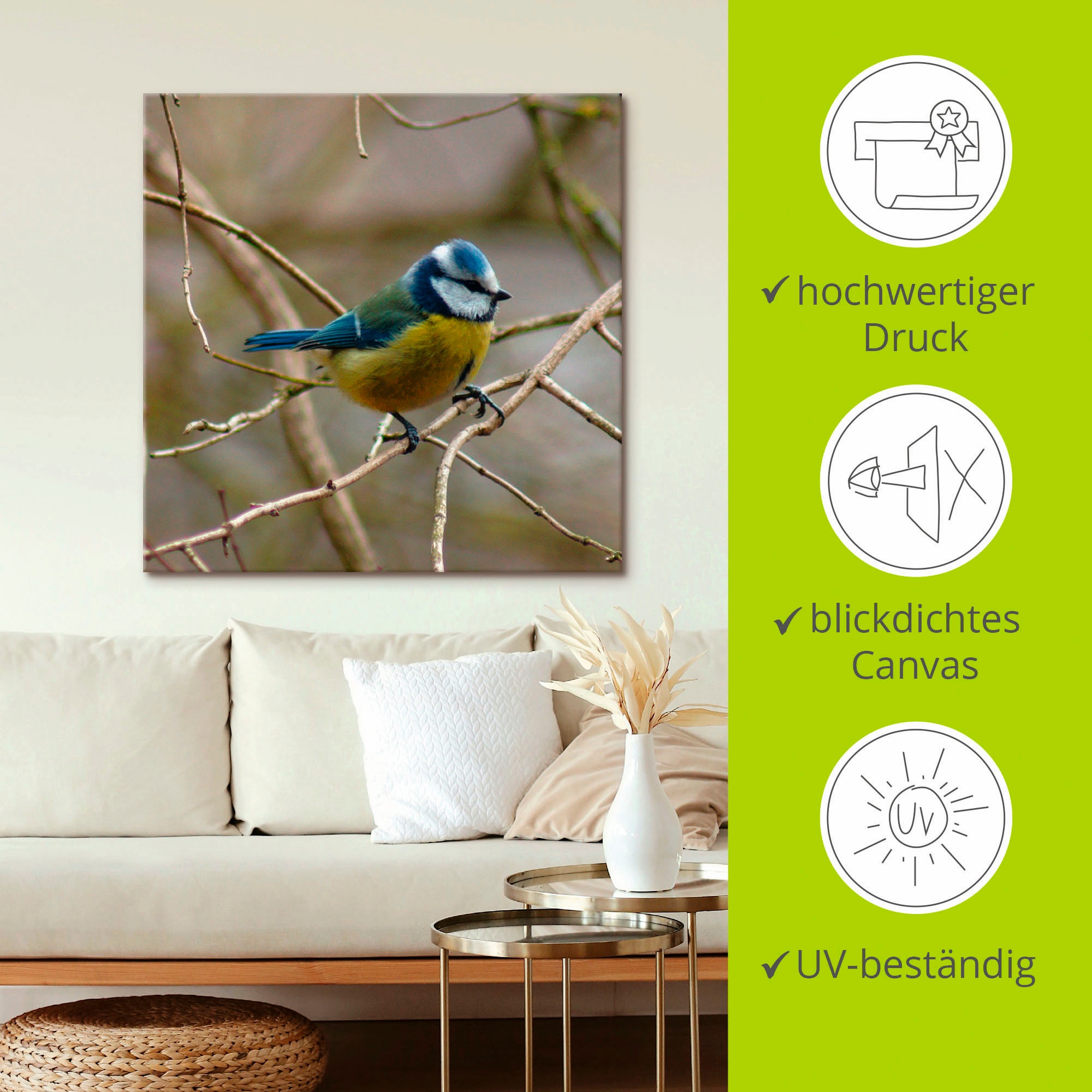 Artland Wandbild »Blaumeise« Vögel 1 Stk. tlg. als Leinwandbild, Wandaufkleber in verschied. Größen