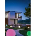 TRIO Leuchten LED Außen-Stehlampe »NECTOR«, LED-Board, 1 St., Farbwechsler, RGBW