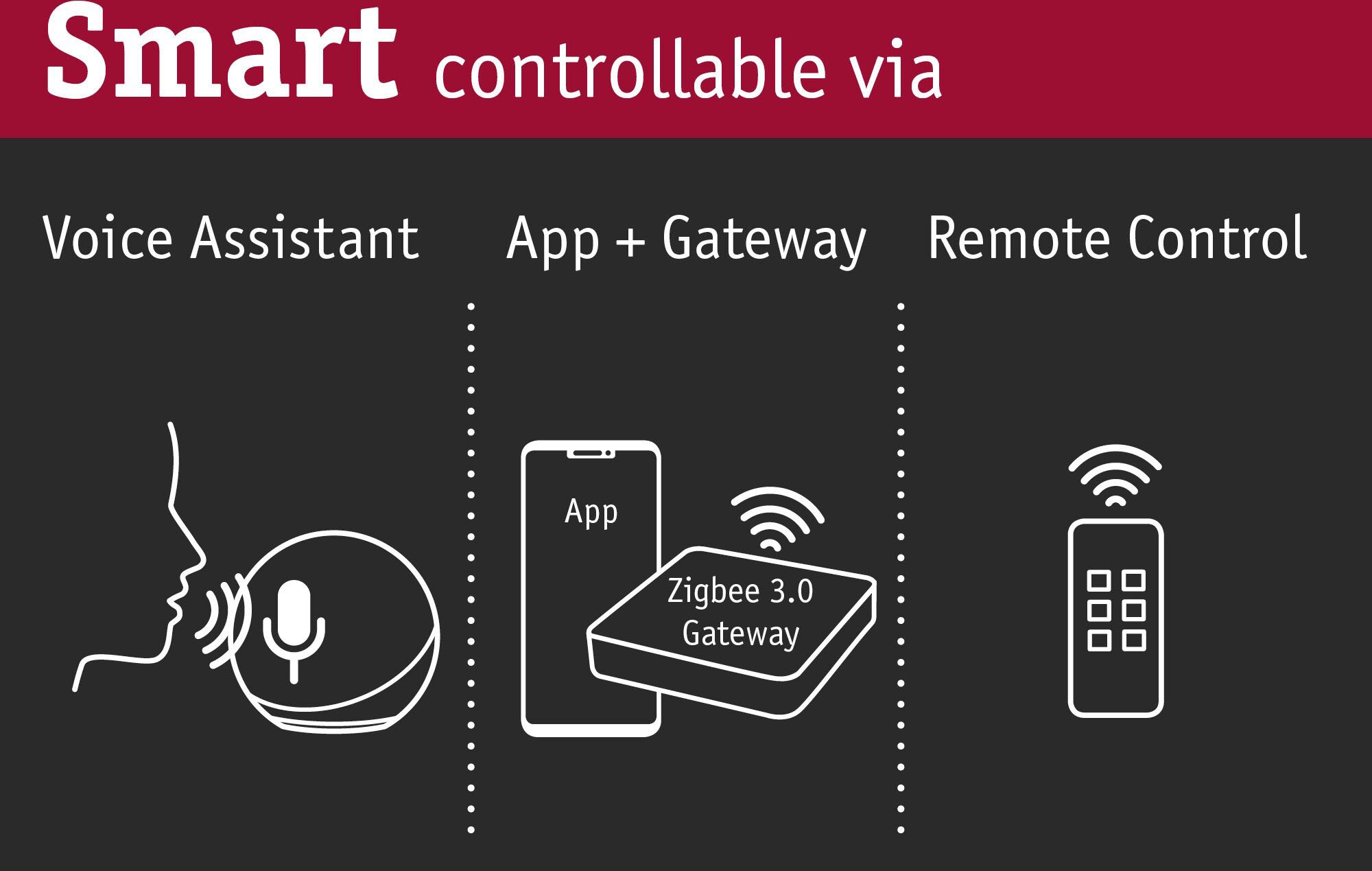 Paulmann Smart-Home-Fernbedienung »ZigBee Gent mit Wandhalterung«