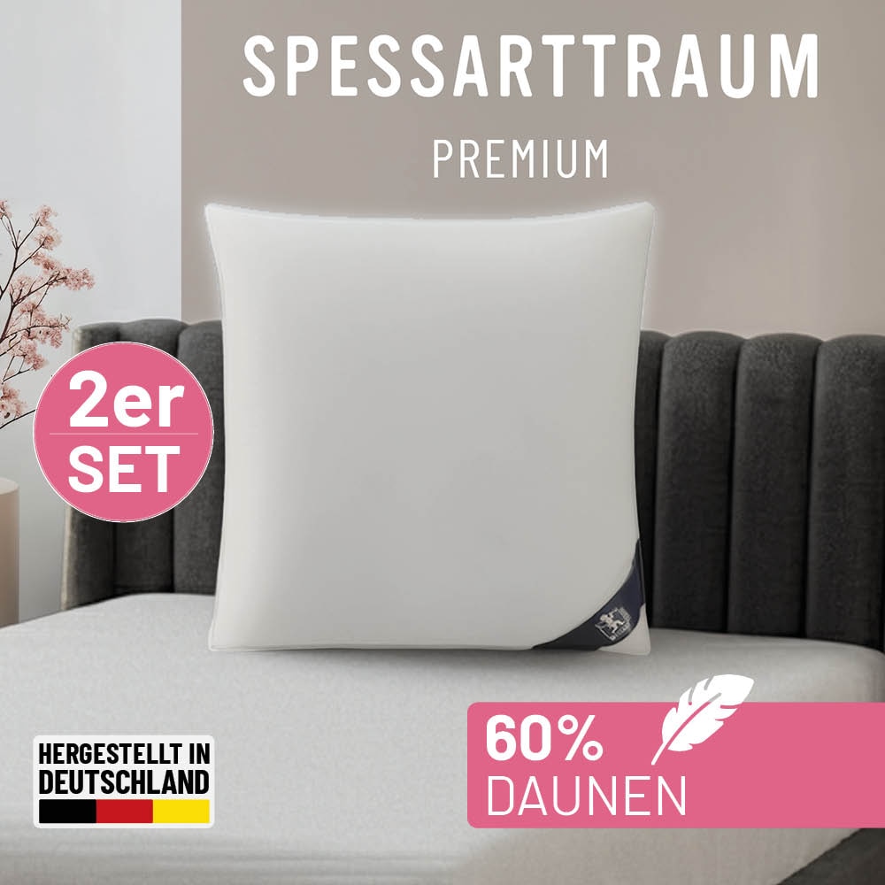 SPESSARTTRAUM Gänsedaunenkopfkissen "Premium, Kopfkissen 1-tlg. oder 2-tlg. 40x80 oder 80x80 cm" Füllung: 60Gaensedaunen40Gaensefedern 2 Stk. tlg. hergestellt in Deutschland, allergikerfreundlich, im Set günstiger