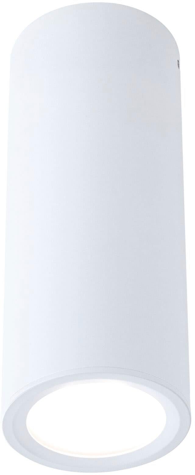 Paulmann Aufbauleuchte »Barrel 1x6W 2700K 470lm«, 1 flammig