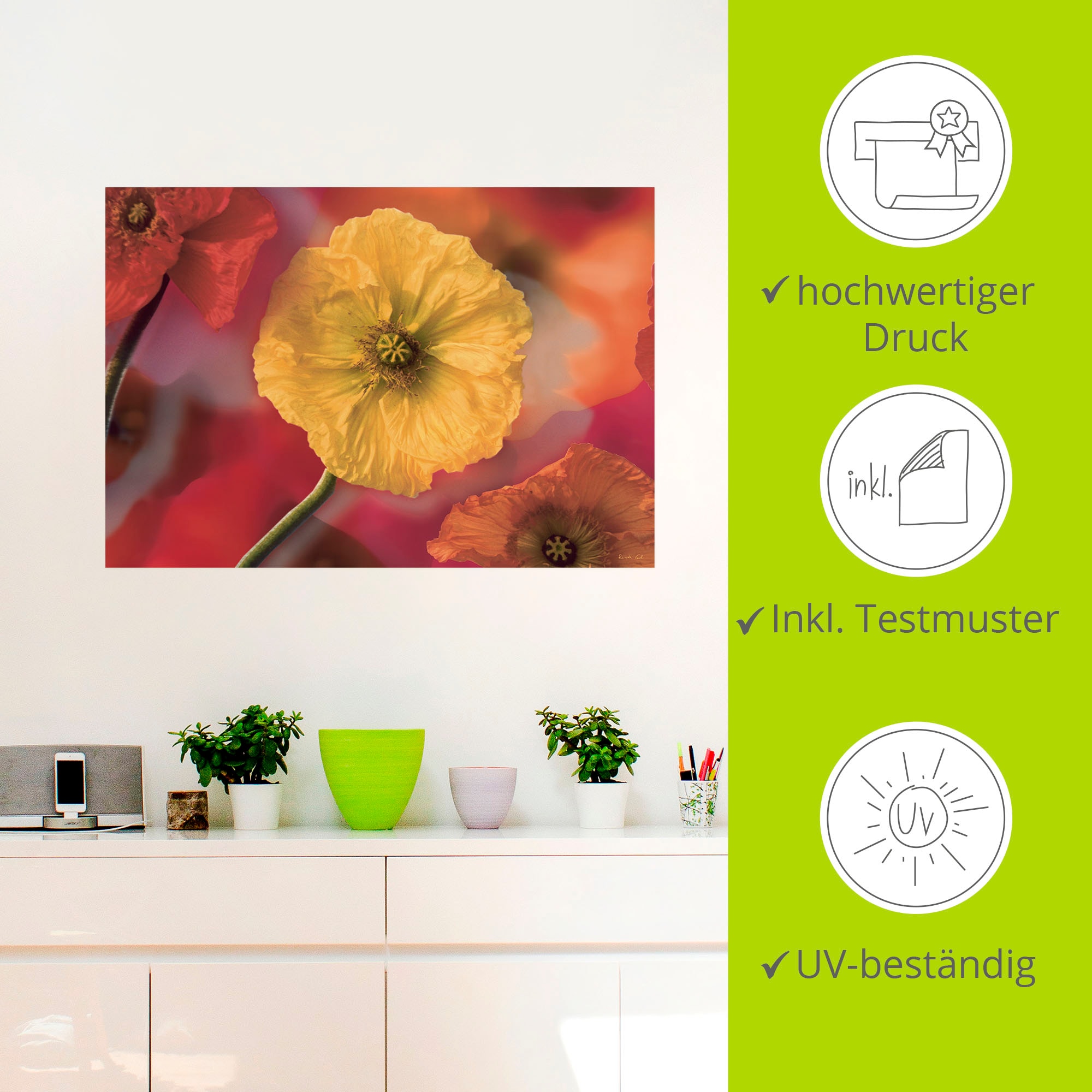 Artland Wandbild »Fotokollage Mohnblumen«, Blumenbilder, (1 St.), als Leinwandbild, Wandaufkleber in verschied. Größen