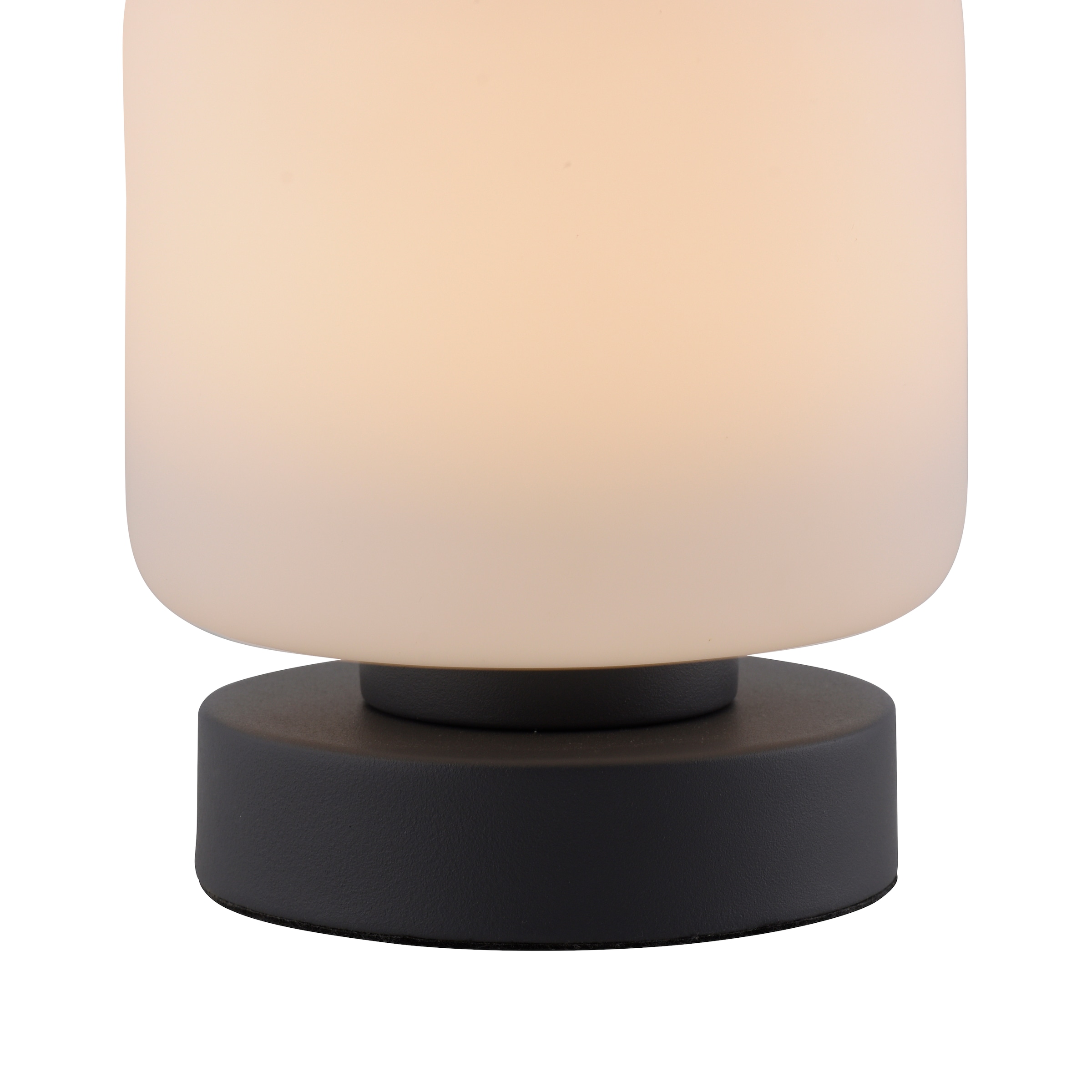Paul Neuhaus Tischleuchte »BOTA«, 1 flammig-flammig, LED, dimmbar über  Touchdimmer online kaufen | mit 3 Jahren XXL Garantie