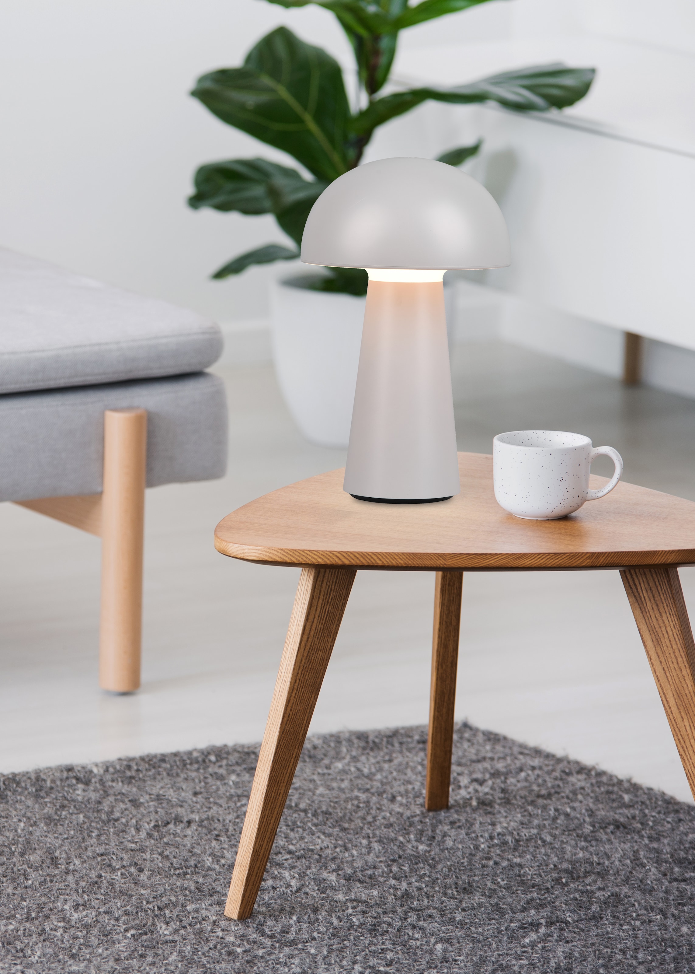 REALITY Leuchten LED Außen-Tischleuchte »Lennon«, 2-er Set, Schutzart IP44, LED fest integriert, 4-fach Touchdimmer, Ladefunktion per USB-C