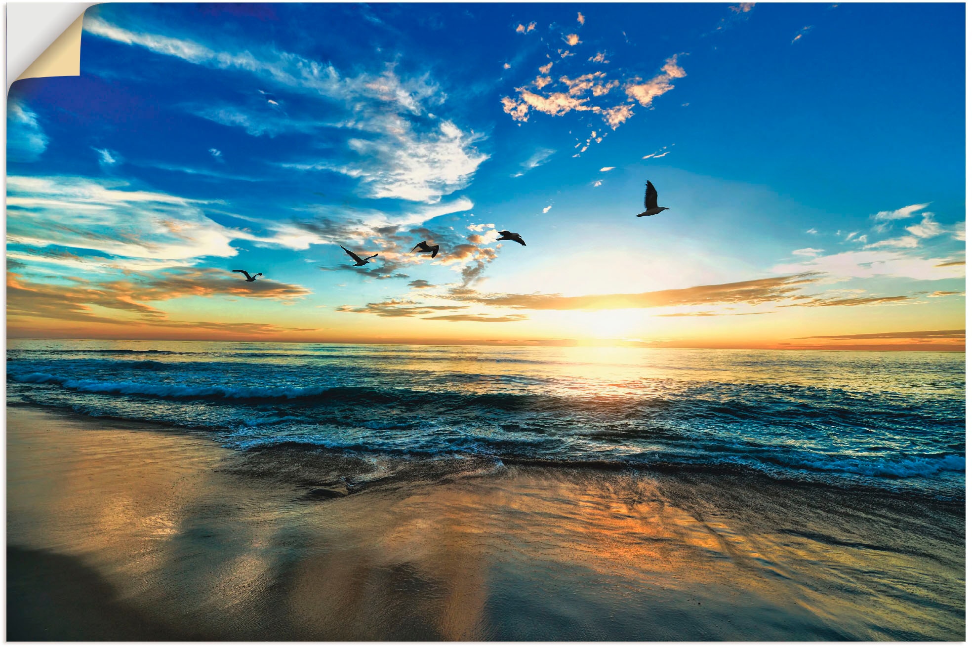 Artland Wandbild »Strand Möwen Meer Sonnenuntergang«, Leinwandbild, als Alubild, Poster Sonnenaufgang versch. oder & bestellen in -untergang, St.), Größen (1 Wandaufkleber bequem