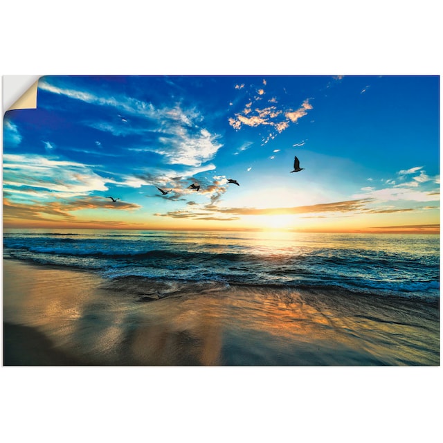 Artland Wandbild »Strand Möwen Meer Sonnenuntergang«, Sonnenaufgang &  -untergang, (1 St.), als Alubild, Leinwandbild, Wandaufkleber oder Poster  in versch. Größen bequem bestellen