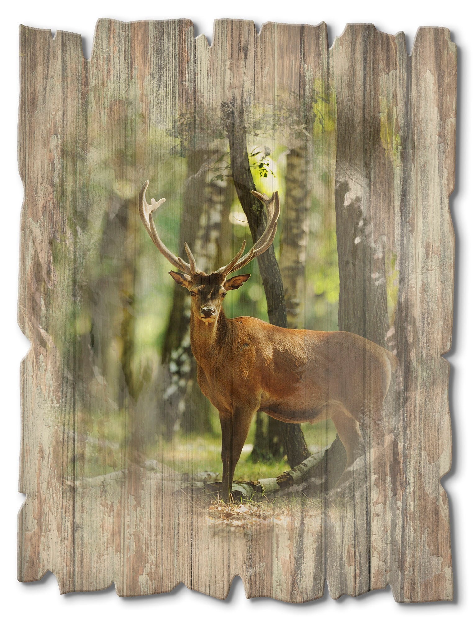 Holzbild »Hirsch 4 - Wald«, Wildtiere, (1 St.)