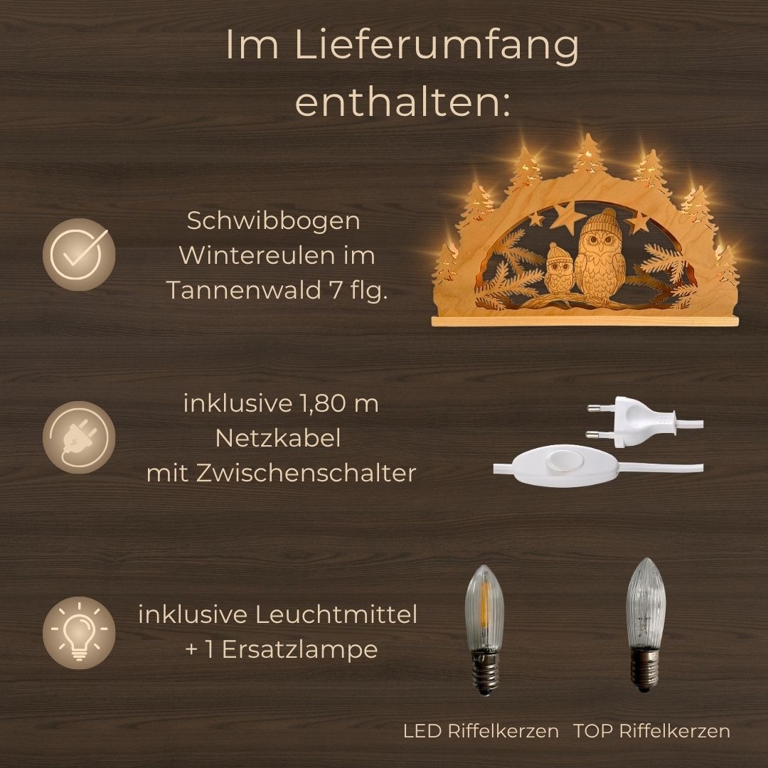 Weigla Schwibbogen »Wintereule im Tannenwald, Lichterbogen aus Holz, NATUR«