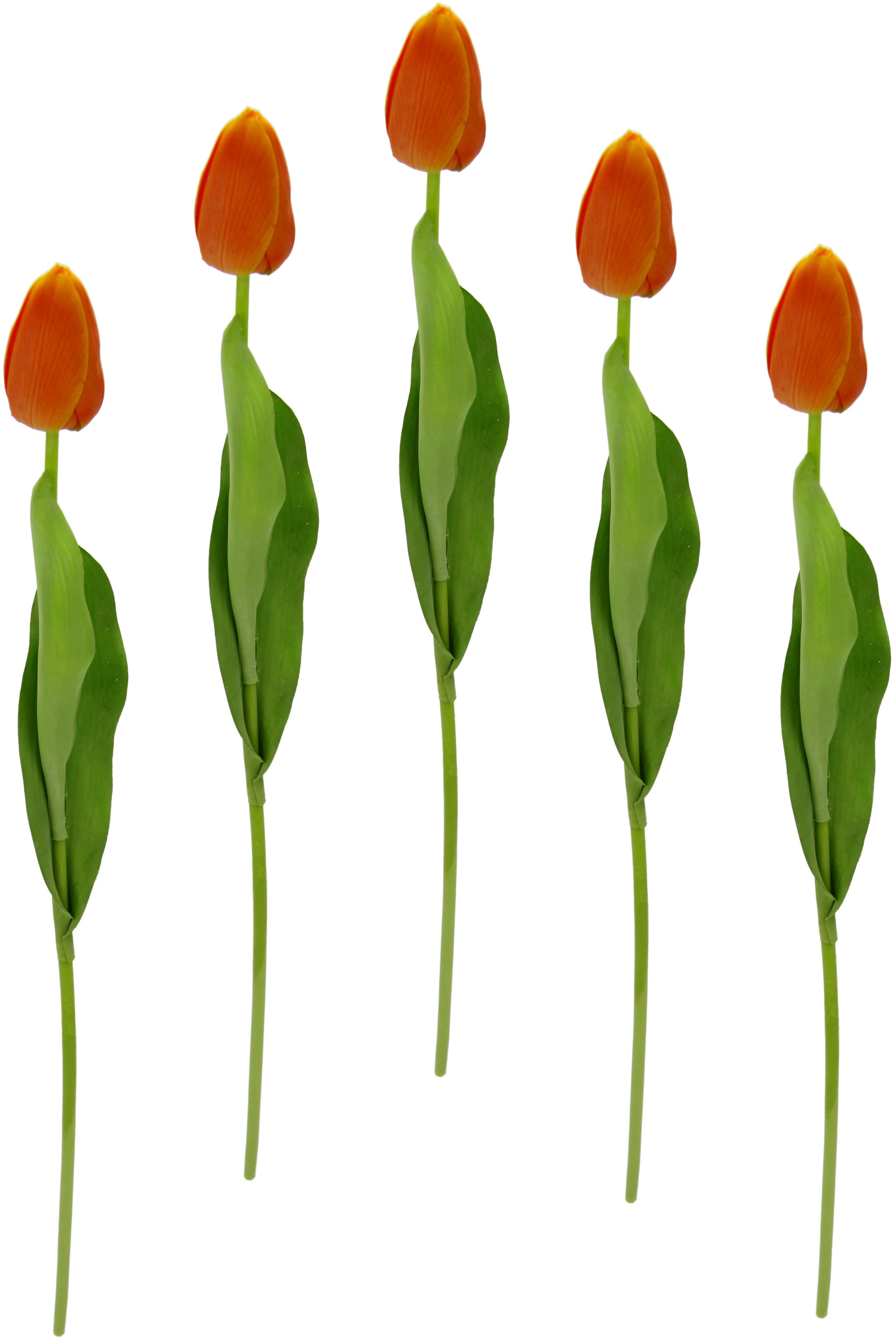 I.GE.A. Kunstblume »Real Touch Tulpen«, 5er Set künstliche Tulpenknospen, Kunstblumen, Stielblume