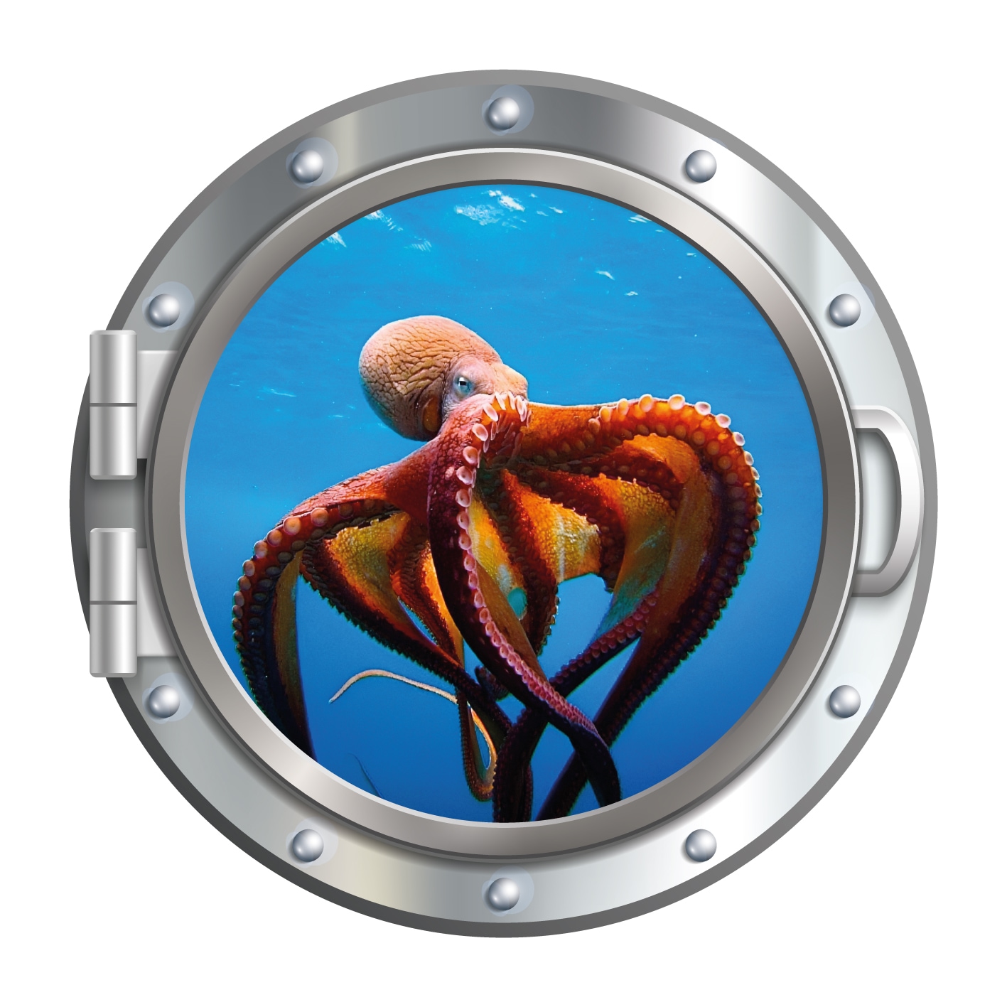 queence Wandsticker »3D Bullauge Illusion Tintenfisch Korallen 40x40 cm« Selbstklebender Wanddurchbruch Unterwasser