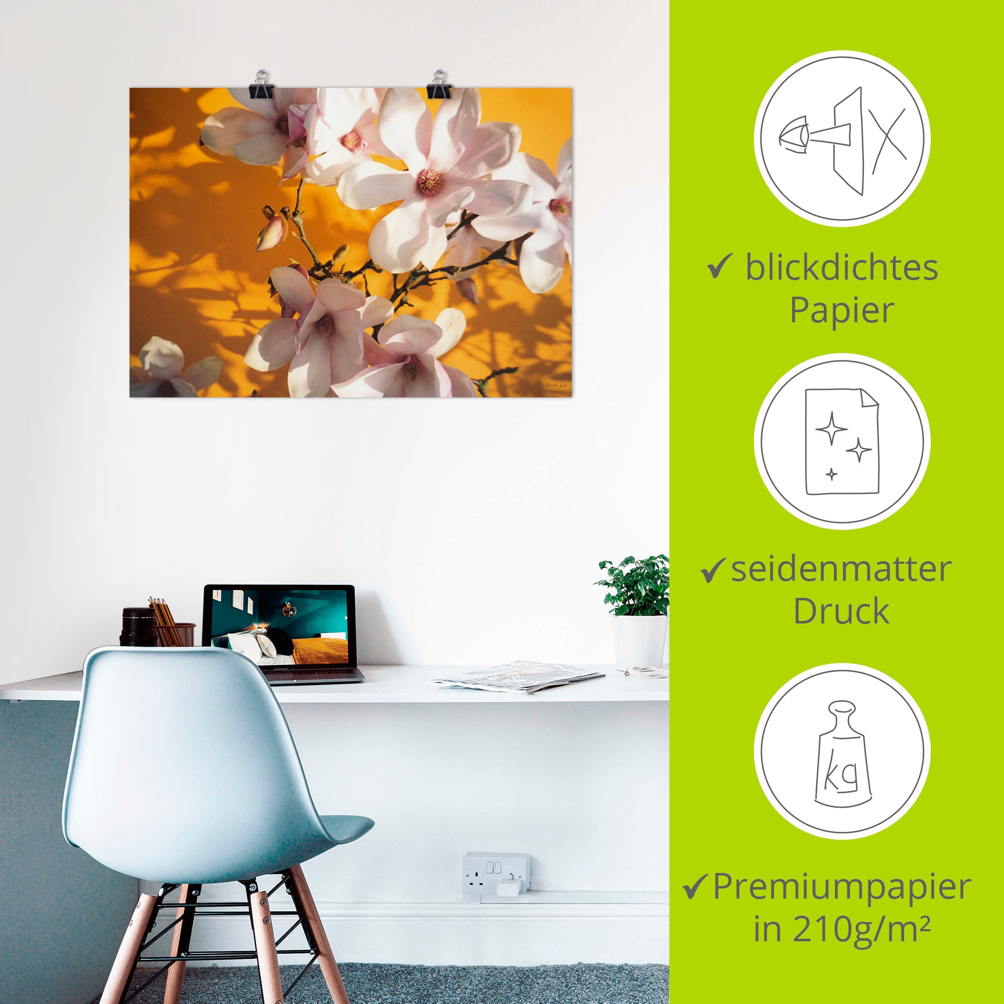Artland Wandbild »Fotokollage Magnolie«, Blumen, (1 St.), als Leinwandbild, Poster in verschied. Größen