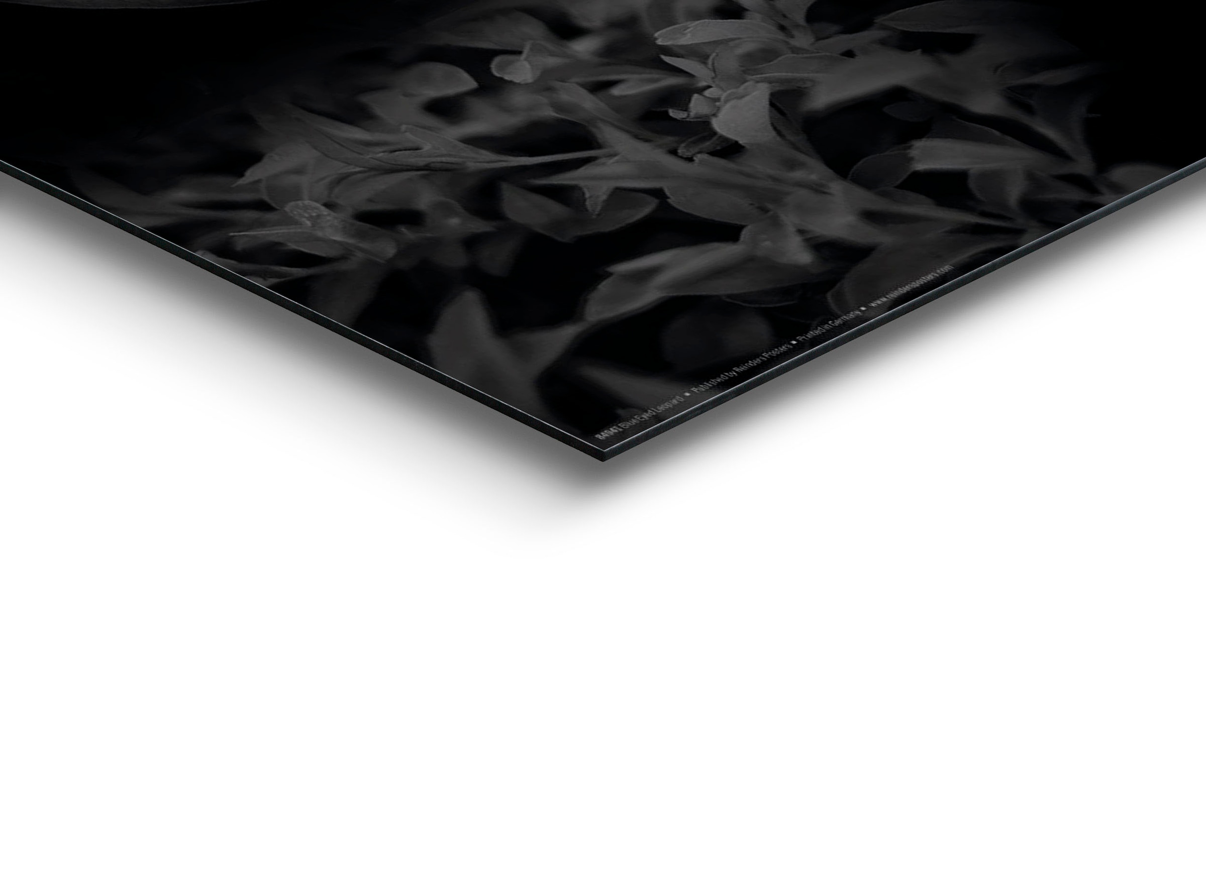 Reinders! Holzbild »Blue Eyed Leopard« 1 Stk. tlg.