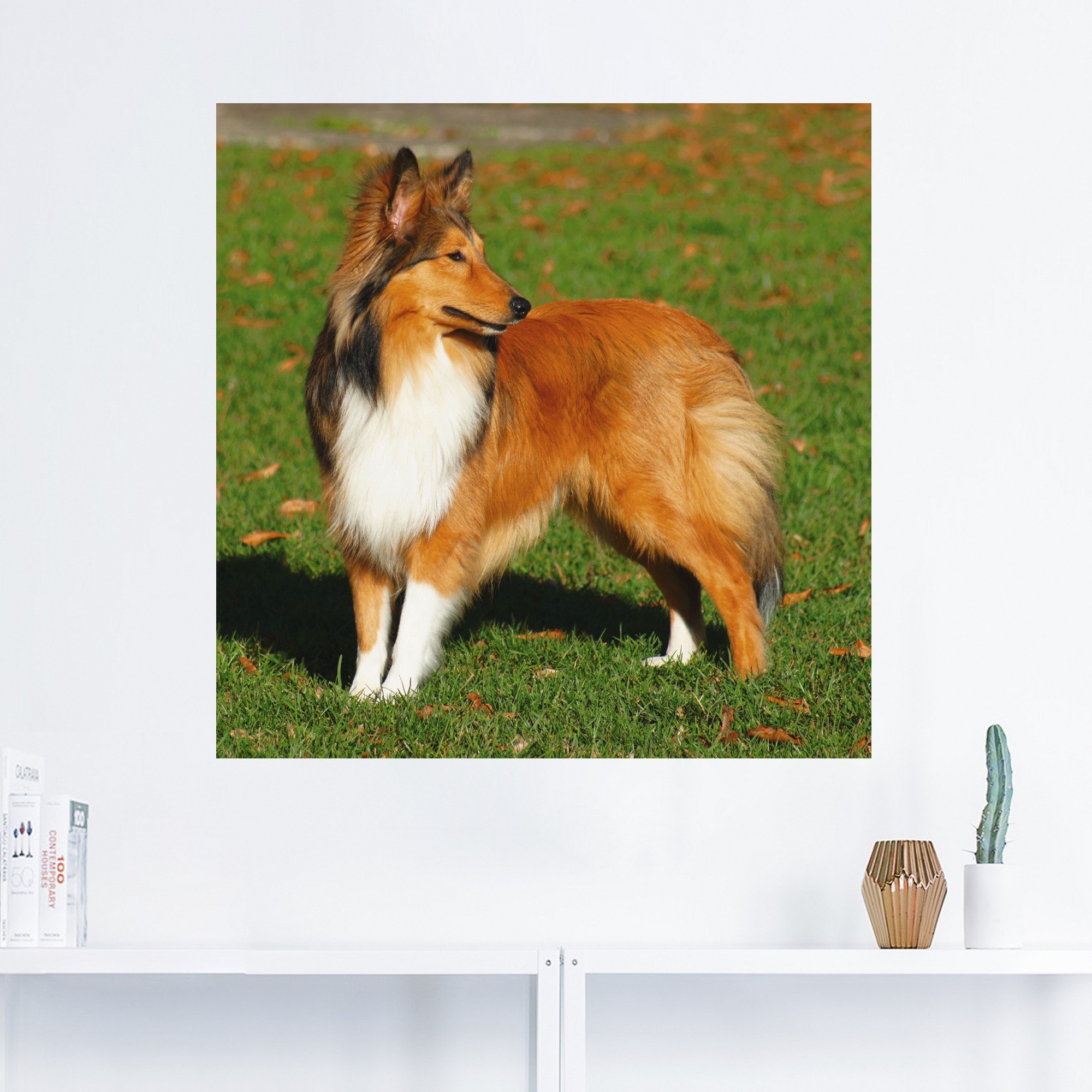 Artland Wandbild »Amerikanischer Collie«, Haustiere, (1 St.), als Alubild, Leinwandbild, Wandaufkleber oder Poster in versch. Größen