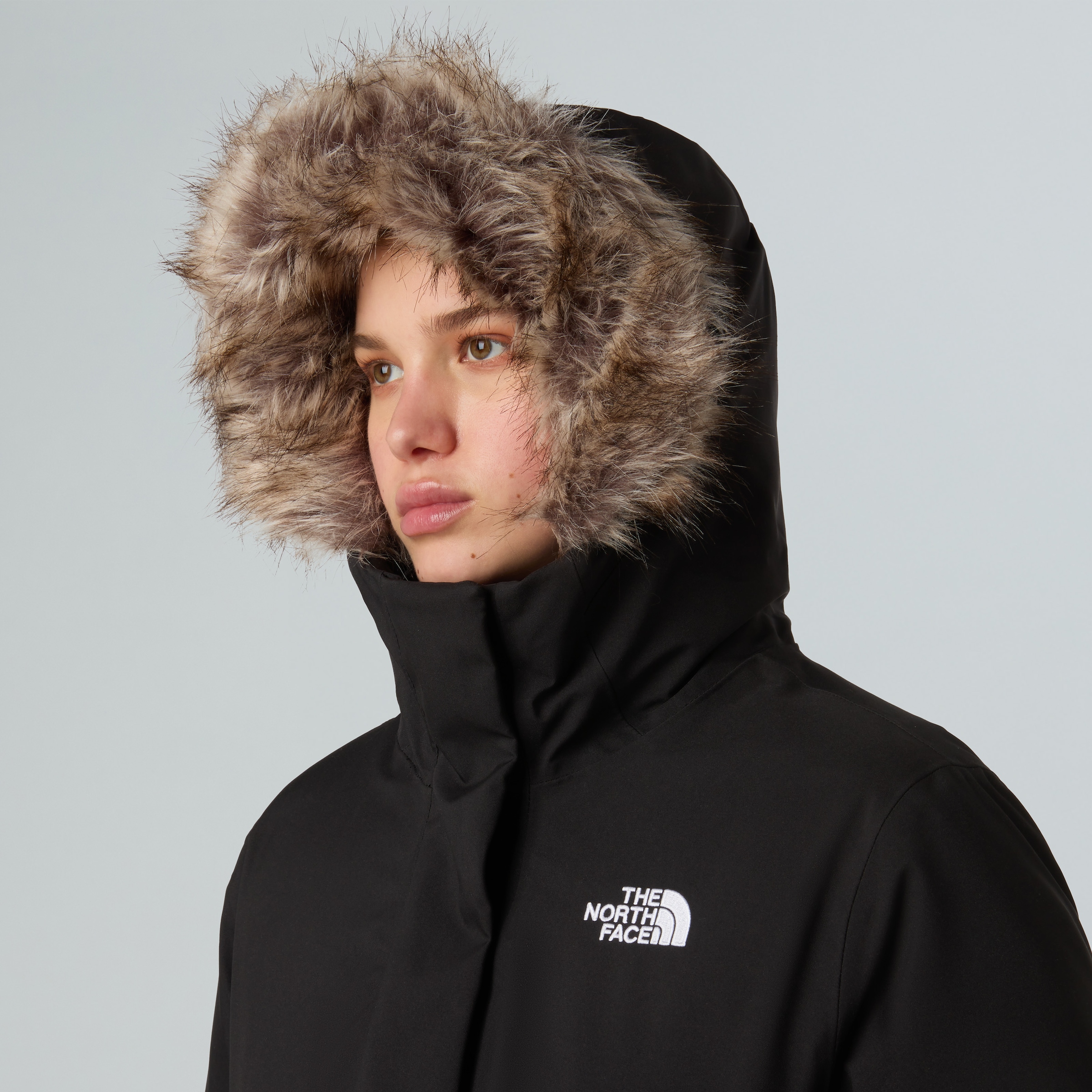 The North Face Daunenmantel »W ARCTIC PARKA« 1 Stk. mit sehr warmer Daunenfüllung, wasserdichte DryVent™-Technologie