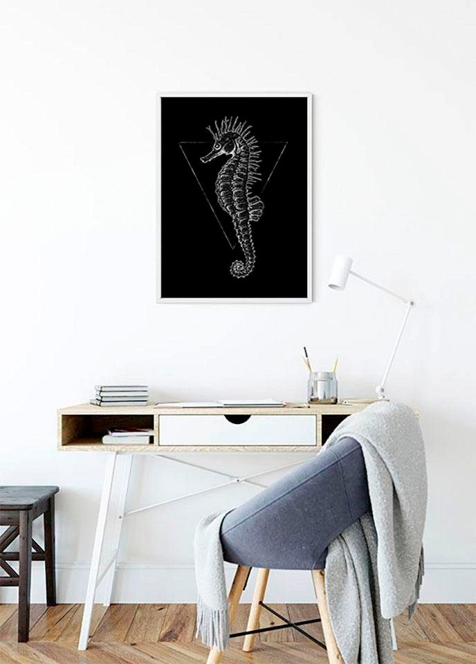 Komar Bild »Sea Horse Black« Tiere 1 Stk. tlg. Wandbild zur Dekoration - ohne Rahmen