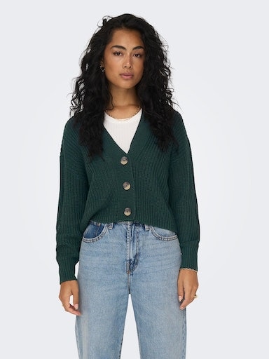 ONLY Strickjacke »ONLCAROL NICE L/S CARDIGAN KNT NOOS«