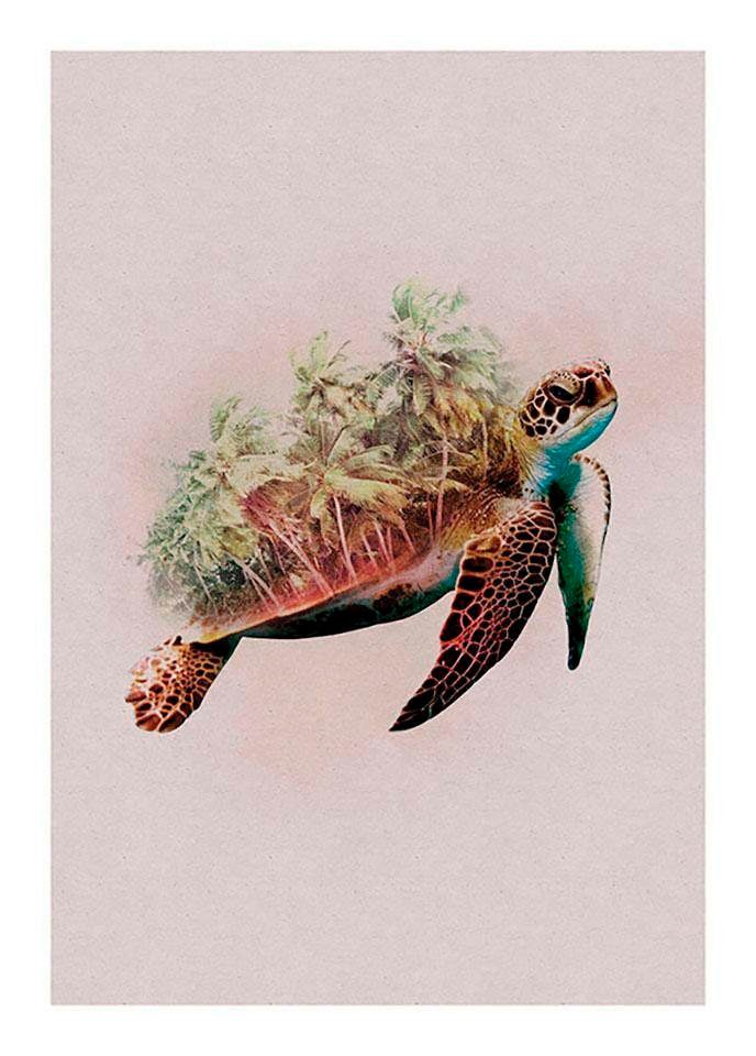 Komar Bild »Animals Paradise Turtle«, Tiere, (1 St.), Wandbild zur Dekoration - ohne Rahmen