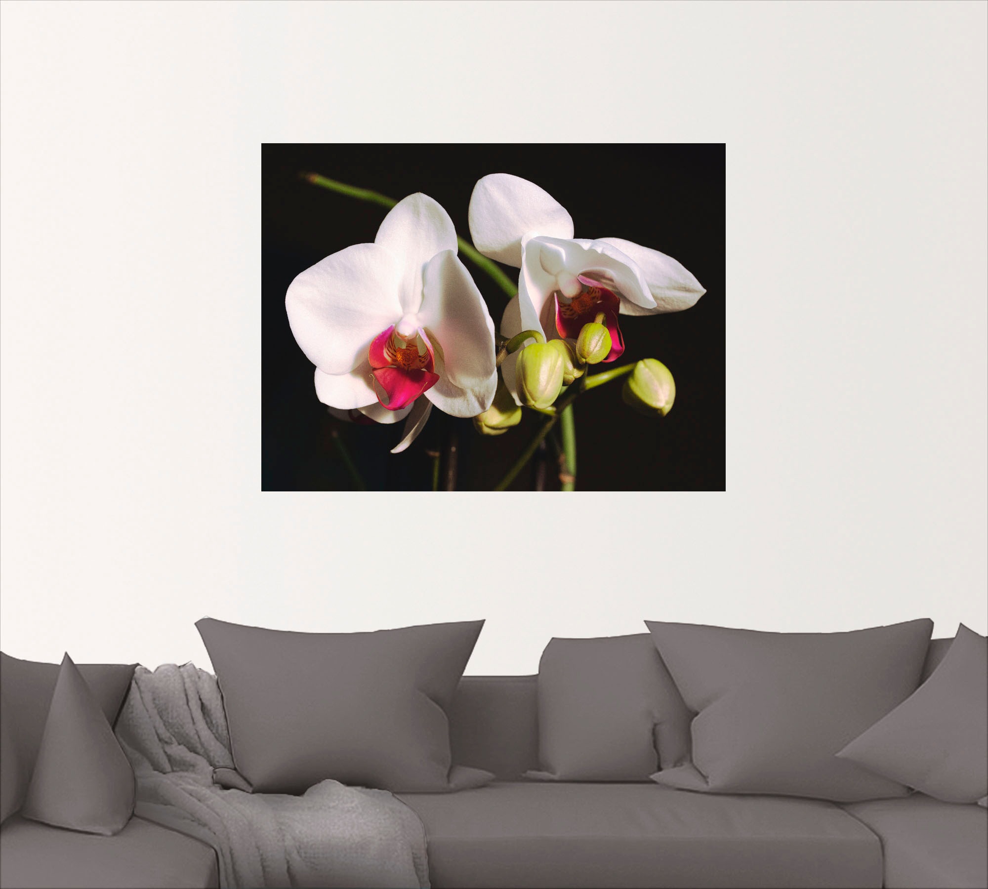 Artland Wandbild »weiße Orchidee«, Blumen, (1 St.), als Leinwandbild, Wandaufkleber oder Poster in versch. Größen