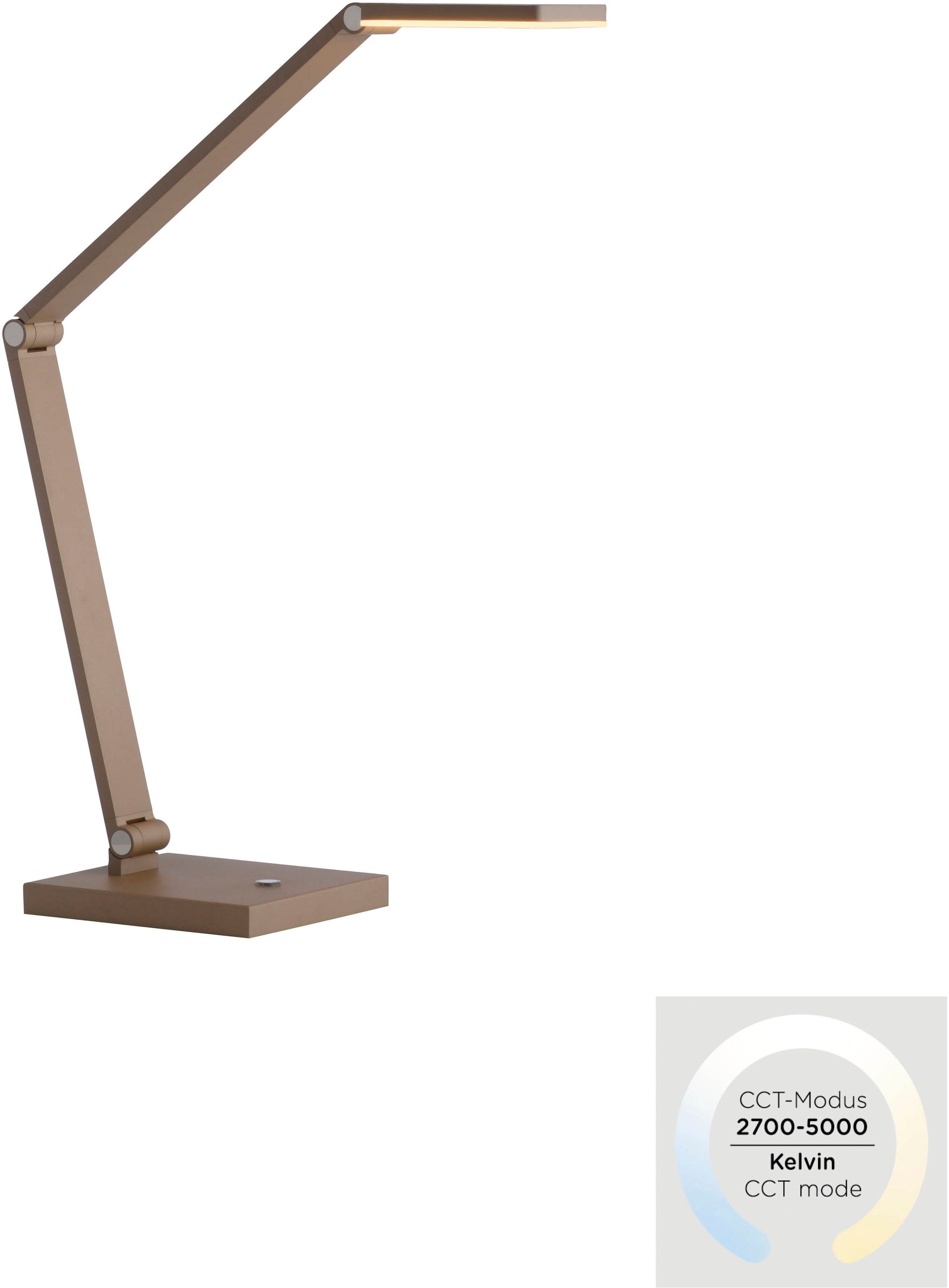 Paul Neuhaus LED Tischleuchte »SAMSKY« LED-Board 1 Stk. warmweiß - kaltweiß Touchdimmer, CCT 2700-5000K, Memoryfunktion, Höhenverstellbar